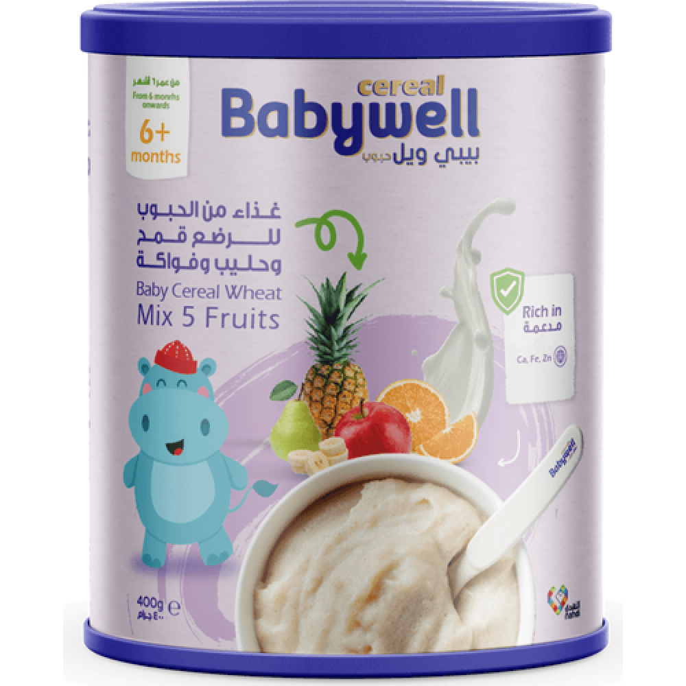 Babywell Fruit & Milk 400gm